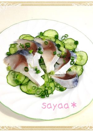 夏にさっぱり超簡単！しめさば胡瓜ぽん酢-レシピのメイン写真