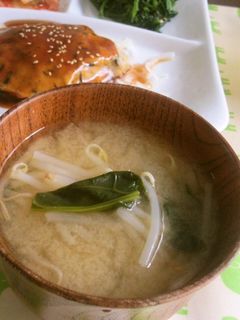 もやしとほうれん草★味噌汁-レシピのメイン写真