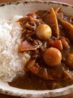 絶品!筍とうずらのたまごのカレー-レシピのメイン写真