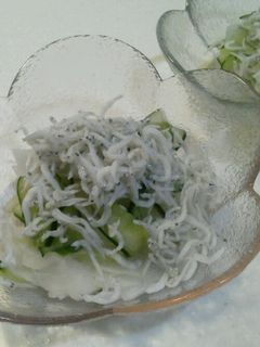 しらすと大根ときゅうりの酢の物-レシピのメイン写真
