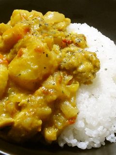 鶏肉のヨーグルトカレー-レシピのメイン写真