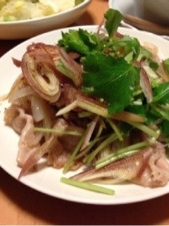 豚肉のどっさり薬味のっけ-レシピのメイン写真