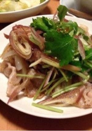 豚肉のどっさり薬味のっけ-レシピのメイン写真