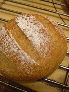 毎朝食べたい玄米と全粒粉のまるパン-レシピのメイン写真