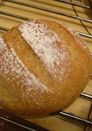 毎朝食べたい玄米と全粒粉のまるパン-レシピのメイン写真