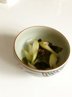 ピリ辛‼セロリとワカメの酢の物☆-レシピのメイン写真