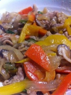 家にある材料で簡単♪本格プルコギ-レシピのメイン写真
