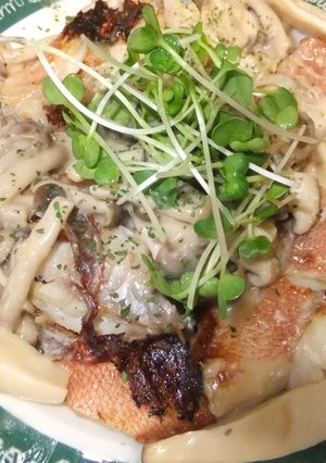 赤魚とキノコのホワイトソース-レシピのメイン写真