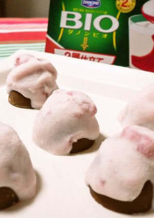 コーヒータイムに✿ダノンBIOチョコ✿-レシピのメイン写真
