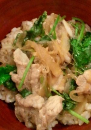 豚と三つ葉でどん丼☆-レシピのメイン写真