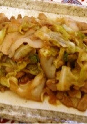 たっぷり春キャベツと豚の生姜焼き-レシピのメイン写真