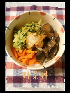 野菜丼-レシピのメイン写真
