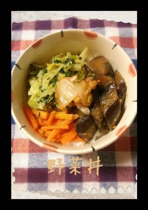 野菜丼-レシピのメイン写真