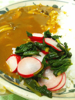 カレーのお供に♪ラディッシュの甘酢漬け-レシピのメイン写真