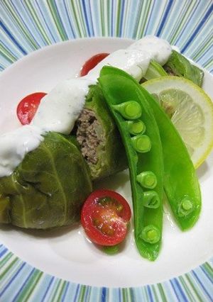 ロールキャベツ　レモンヨーグルトソース-レシピのメイン写真