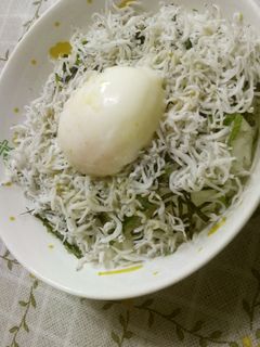 おん玉しらす丼-レシピのメイン写真