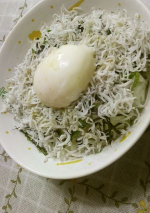 おん玉しらす丼-レシピのメイン写真
