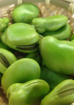 そら豆の茹で方・最高の塩加減♪♪-レシピのメイン写真
