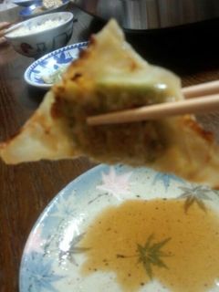 シュウマイの皮で餃子-レシピのメイン写真