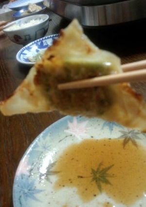 シュウマイの皮で餃子-レシピのメイン写真