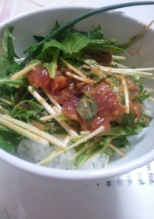 鰹の漬け丼-レシピのメイン写真