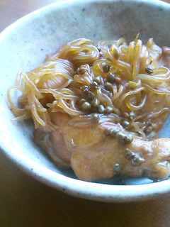 しらたきと鶏の甘辛煮 山椒風味-レシピのメイン写真