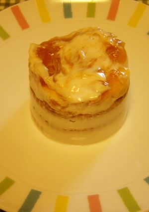 材料2つ!ダノンビオで簡単♪レアチーズ風-レシピのメイン写真