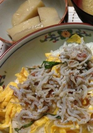 さといもだけの煮物-レシピのメイン写真