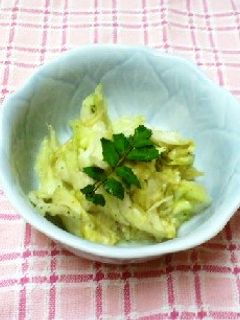 キャベツの塩麹で作る木の芽和え-レシピのメイン写真
