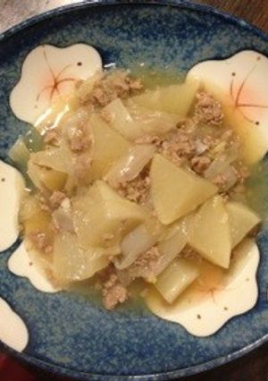 豚ひき肉でトロトロ新玉ねぎと大根煮❀-レシピのメイン写真