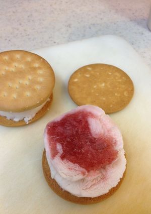 ダノンビオアイスのビスケットサンド-レシピのメイン写真