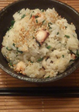 スタミナたこ飯-レシピのメイン写真