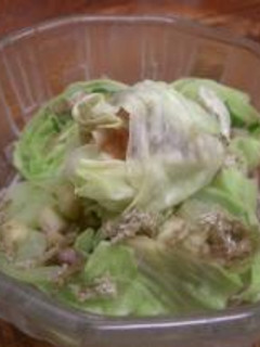 キャベツ巻き巻き-レシピのメイン写真