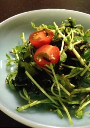 豆苗の海藻サラダ-レシピのメイン写真