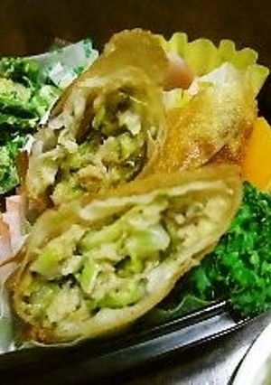 春キャベツたっぷり☆揚げ春巻き☆-レシピのメイン写真