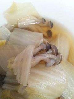 白菜のふたふた煮-レシピのメイン写真