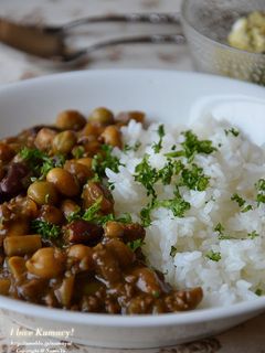 大豆とゴボウと挽肉の薬膳風カレー-レシピのメイン写真