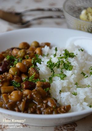大豆とゴボウと挽肉の薬膳風カレー-レシピのメイン写真