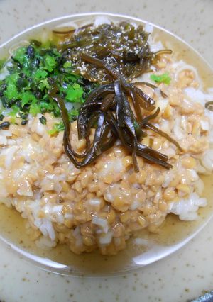 ひきわり納豆、めかぶ入りお茶漬け-レシピのメイン写真