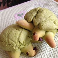 基本からアレンジまで！思わずつくりたくなる「かめ メロンパン」の