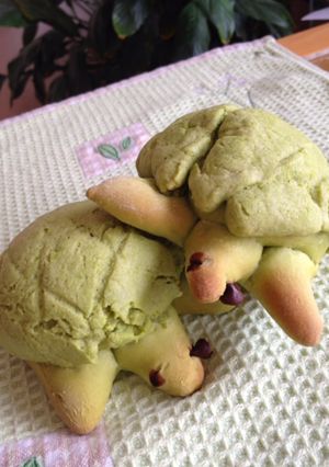 カメメロンパン♪-レシピのメイン写真