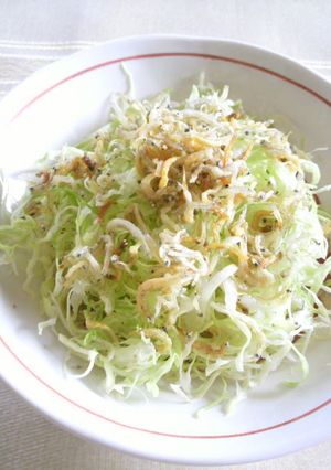 新キャベツとカリカリちりめんサラダ-レシピのメイン写真