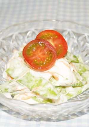 絹さやとこんにゃくのスパサラダ風-レシピのメイン写真