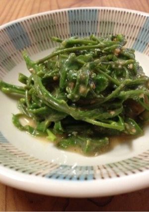 藤の芽の胡麻和え-レシピのメイン写真