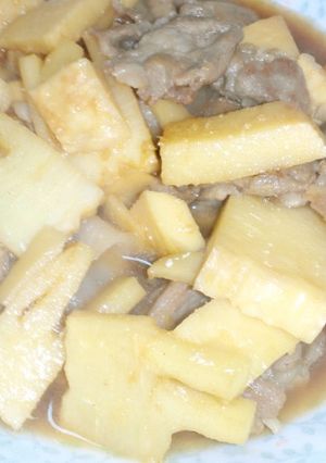 たけのこと豚肉の生姜煮-レシピのメイン写真
