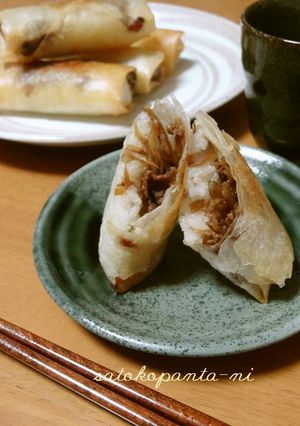 がっつりお肉ごはん春巻き☆-レシピのメイン写真