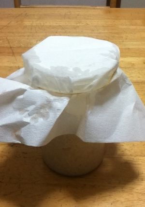 ★☆★ペットボトルでもできる塩麹★☆★-レシピのメイン写真