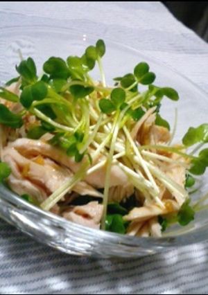 ささみとかいわれ菜のさっぱり和え-レシピのメイン写真