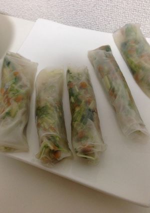納豆と水菜の簡単☆生春巻き☆-レシピのメイン写真