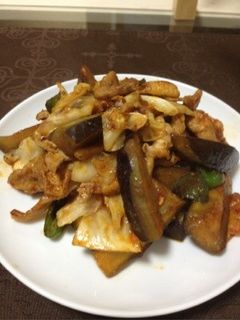 豚肉と余り野菜でピリ辛炒め-レシピのメイン写真
